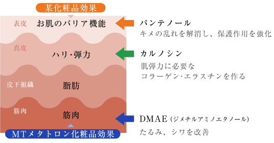 MTメタトロンフェイシャル