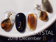 ★定額Bコース Paraジェル¥12,500 カルジェル¥11,000 大人ゴージャスNail☆彡